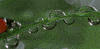 Ladybug Dew GIF