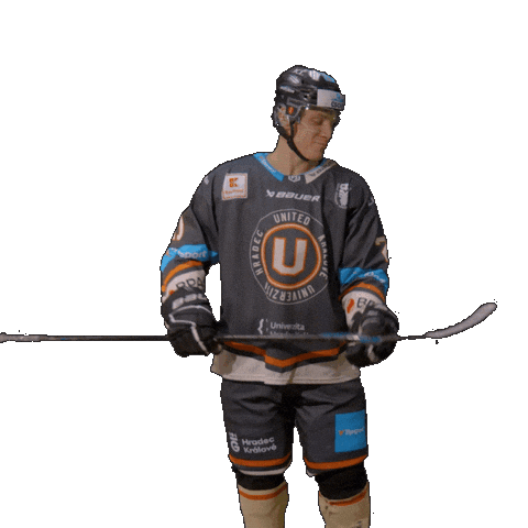 Uhk Kochan Sticker by UNIted HK