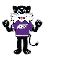 sbuniv flatbearcat Sticker