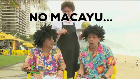 mascabrothers no macayu GIF