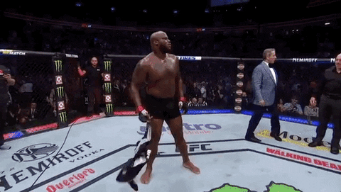 ufc 229 sport GIF by UFC