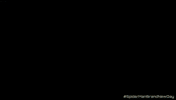 Spider-Man GIF by Sony Pictures Germany
