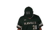 College Baseball Sticker by Hawaii Athletics