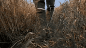 Guitar Walking GIF by Owen Riegling