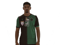 Fcw Sticker by FC Wacker Innsbruck