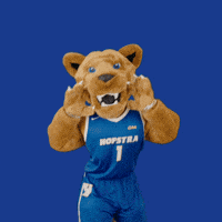 New York Basketball GIF by Hofstra University