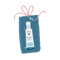 Snow Gift Sticker by Vichy Greece