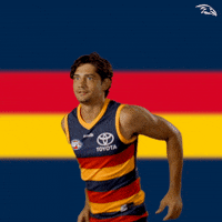 Mark Afl GIF by Adelaide Crows