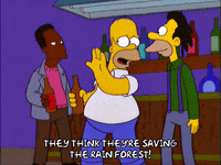 homer simpson episode 3 GIF