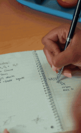 Teacher Studying GIF by AnaCatali