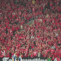 Football Applause GIF by Widzew Łódź
