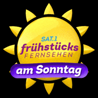 Ffs Fruehstuecksfernsehen GIF by sat1