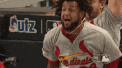 Major League Baseball Sport GIF by MLB