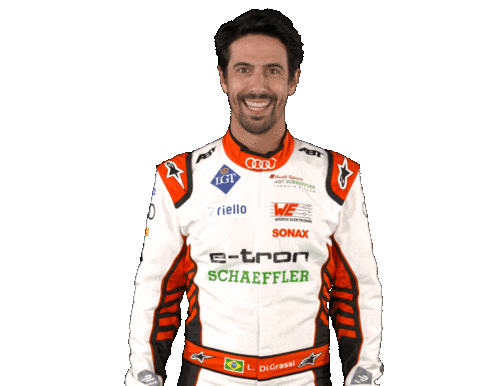 Formula E Brazil Sticker by Lucas Di Grassi