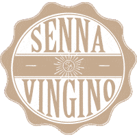 Senna Sticker by Vingino