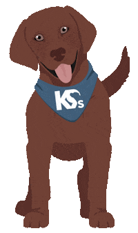 Chocolate Lab Dog Sticker by Merrick Pet Care
