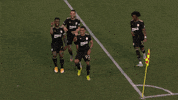 Usl Championship Dancing GIF by FCTulsa