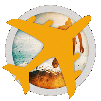 The Amazing Race Fun Sticker by CBS