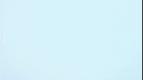 giphy.gif