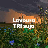 Sojacorteva GIF by Corteva Brasil