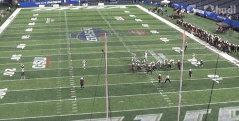 chrisrennecfb giphyupload GIF