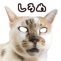 Bouspi Sticker