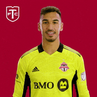 Lets Go Yes GIF by Toronto FC