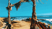 Summer Beach GIF