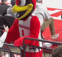 Illinois State Basketball GIF
