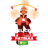 Fiestas Patrias Fireworks Sticker by Florerias Unidas