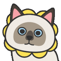 chou2_cat giphyupload flower 臭臭 chou2cat Sticker