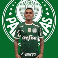 soccer celebrating GIF by SE Palmeiras