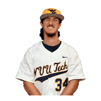 Baseball Sticker by WVU Tech Golden Bears