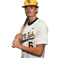Baseball Sticker by WVU Tech Golden Bears