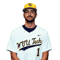 Baseball Sticker by WVU Tech Golden Bears