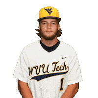 Baseball Sticker by WVU Tech Golden Bears