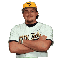 Baseball Sticker by WVU Tech Golden Bears