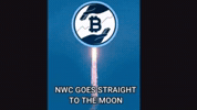 GIF by Newscrypto.io