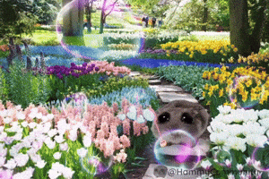 Flowers Garden GIF by Sad Hamster
