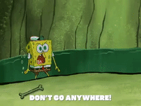 season 7 legends of bikini bottom: the curse of the hex GIF by SpongeBob SquarePants
