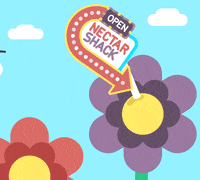 flower butterfly GIF by Lowe's Home Improvement