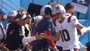 High Five Football GIF by New England Patriots
