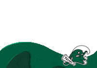 New Orleans Football Sticker by GreenWave
