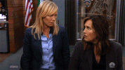 Season 19 Nbc GIF by Law & Order