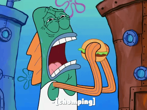 season 8 GIF by SpongeBob SquarePants