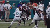 Football Celebration GIF by New England Patriots