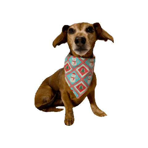 Merry Christmas Sticker by Geekster Pets