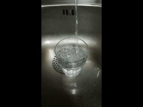 Simongip giphygifmaker GIF