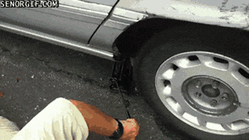 cats mechanics GIF