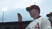 High Five College Baseball GIF by Arkansas Razorbacks